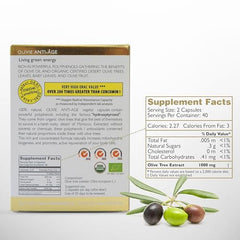 OLIVIE oleuropein-rich extract visual emphasizes natural antioxidant power.