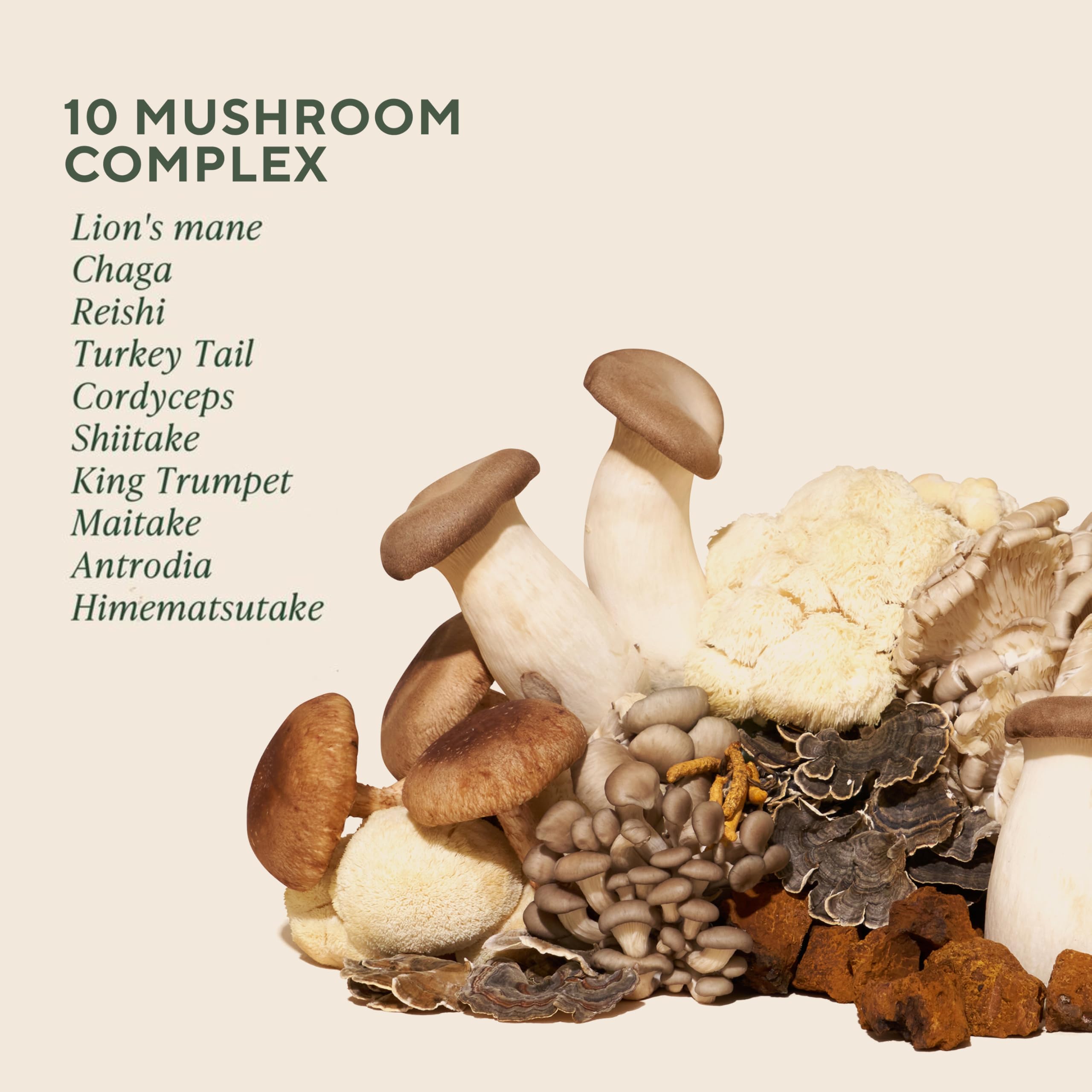 Om Master Blend label close-up showing organic mushroom blend and serving benefits.