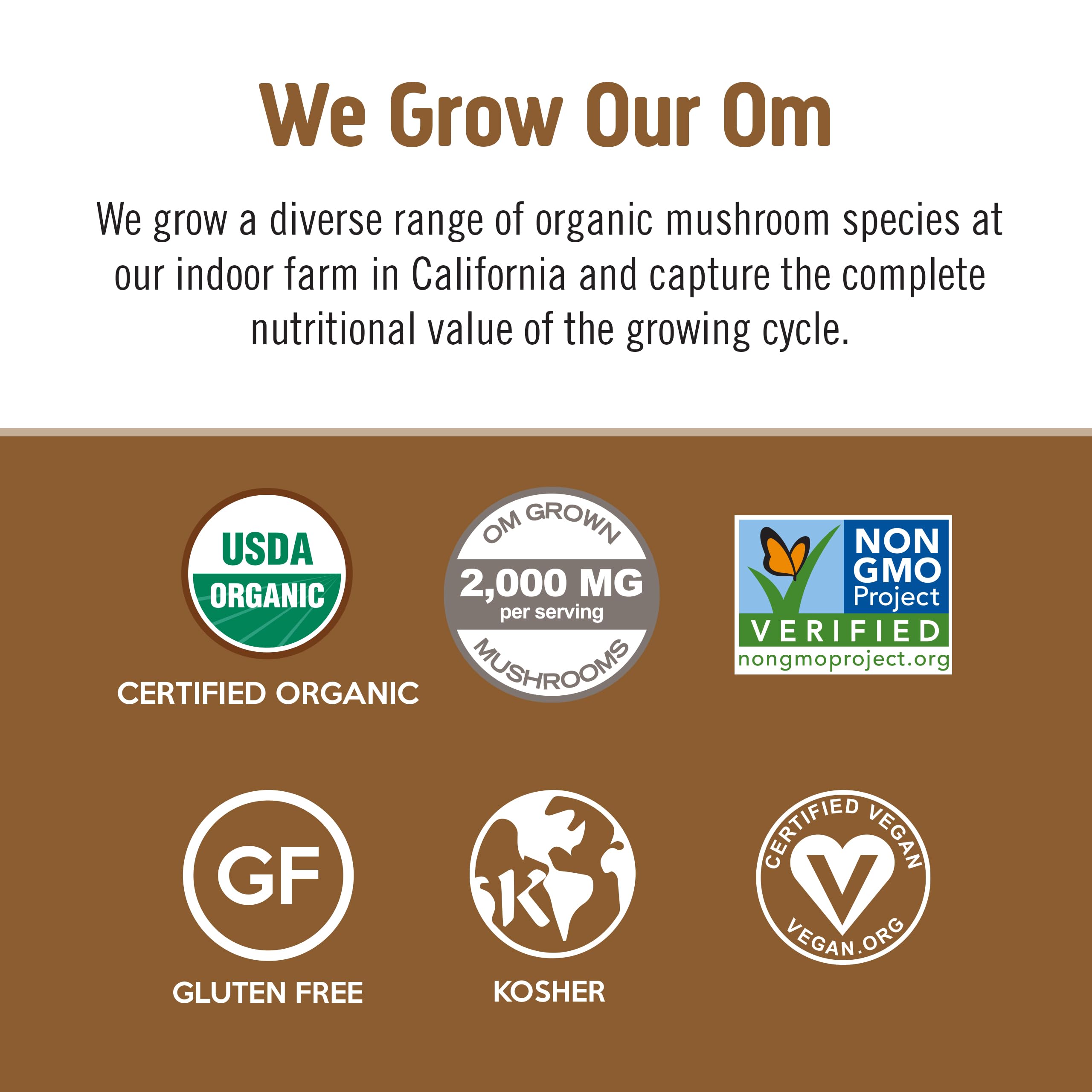 Om Mushroom Superfood Coffee Latte Blend bottle with Chaga for a rich, earthy flavor.