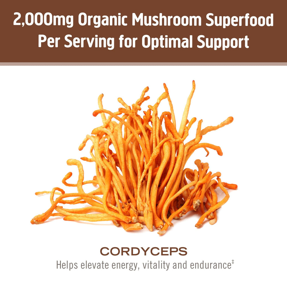 OM Mushroom Cordyceps powder jar label with organic, non-GMO, gluten-free credentials