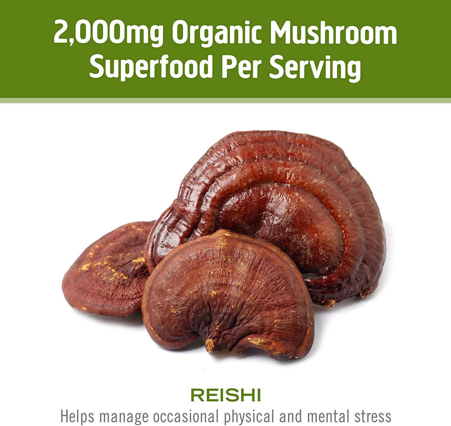 OM Mushroom Reishi capsules packaging with clear label and certifications