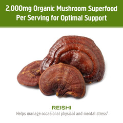 OM MUSHROOM REISHI mycelial biomass close-up showing full-spectrum content.