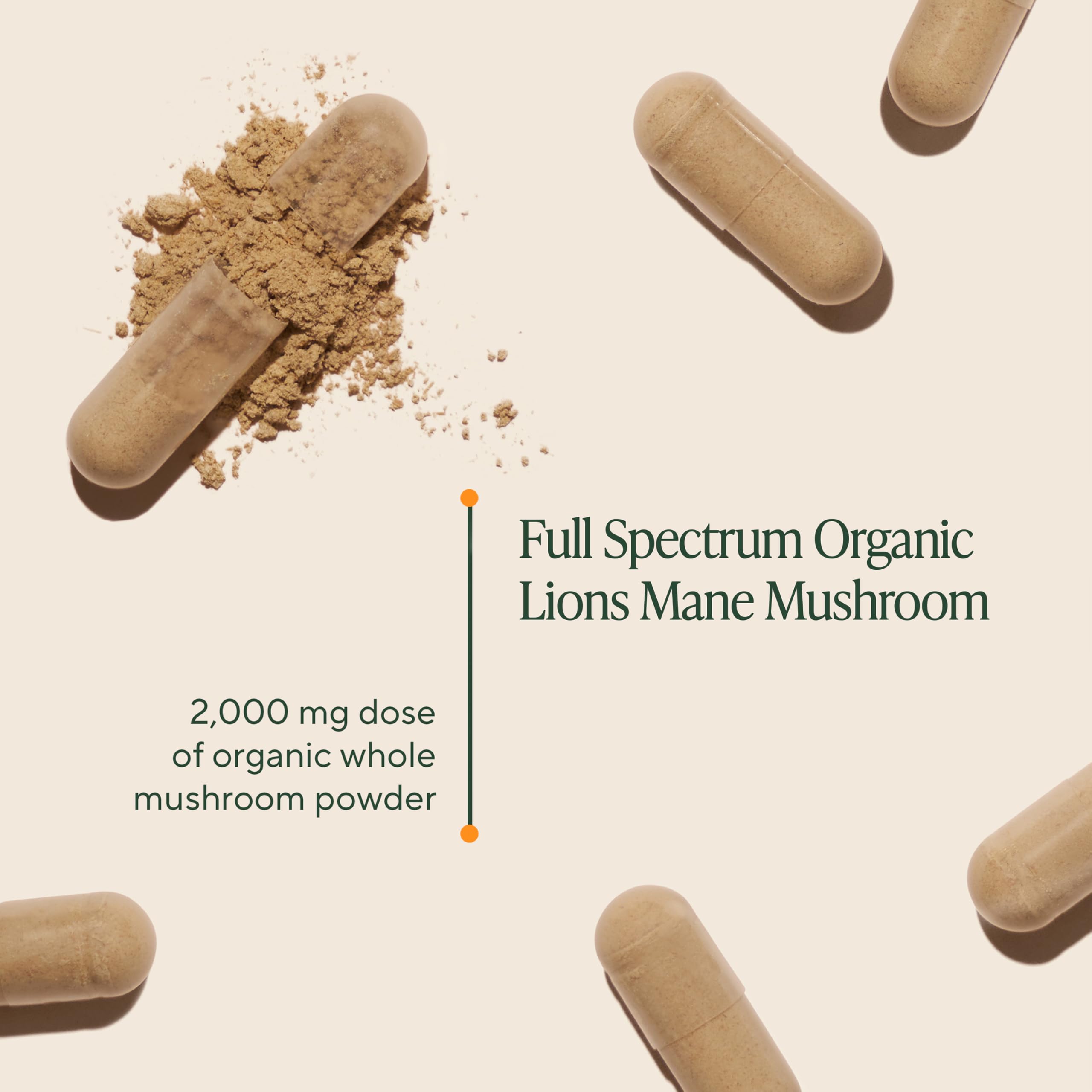 OM Mushroom Superfood 180-count bottle highlights long-term brain nourishment.