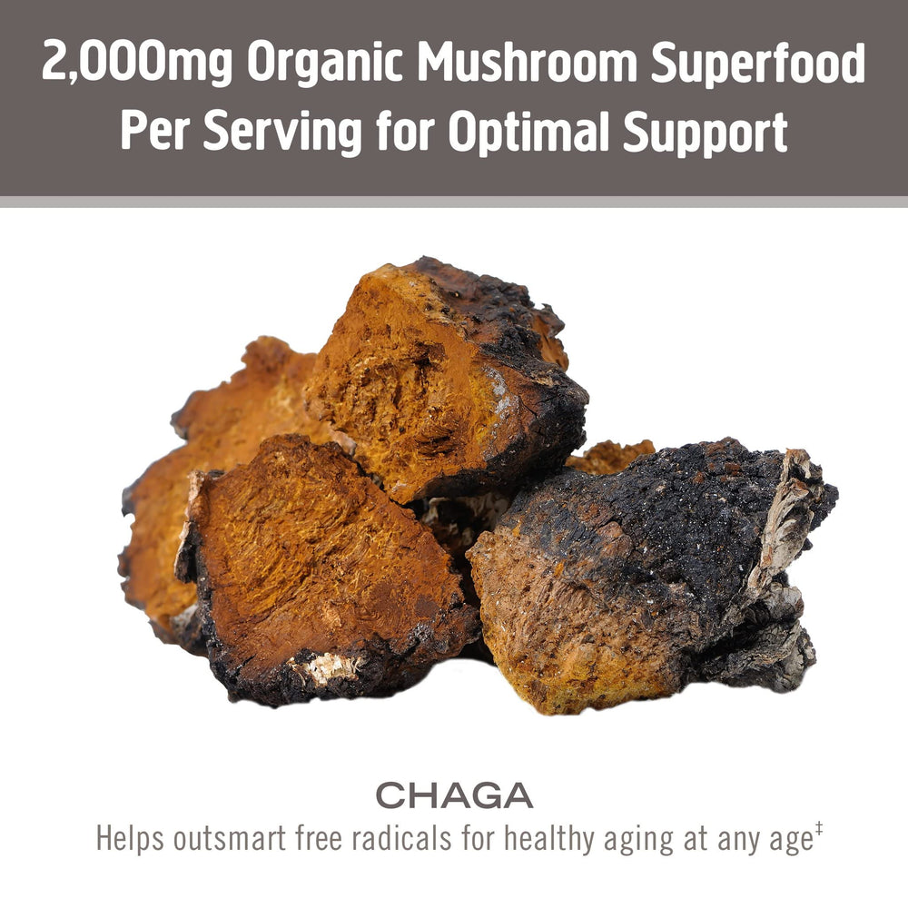 OM Mushroom Superfood Chaga powder coffee image for morning routine