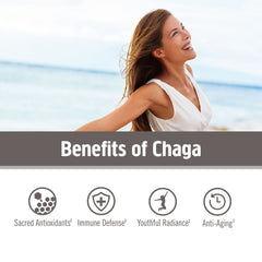 OM Mushroom Superfood Chaga powder smoothie image for nutritious drinks