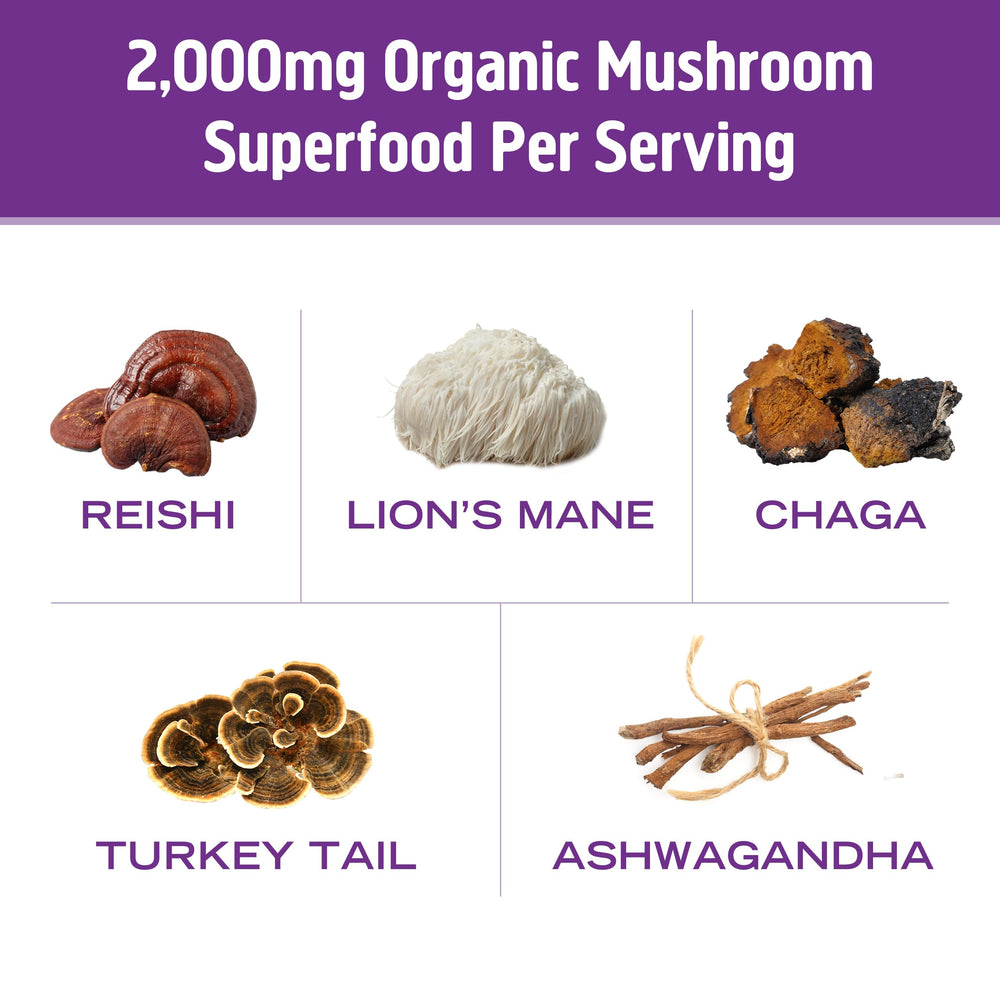 Close up of OM Mushroom Superfood hot chocolate mix powder for preparation