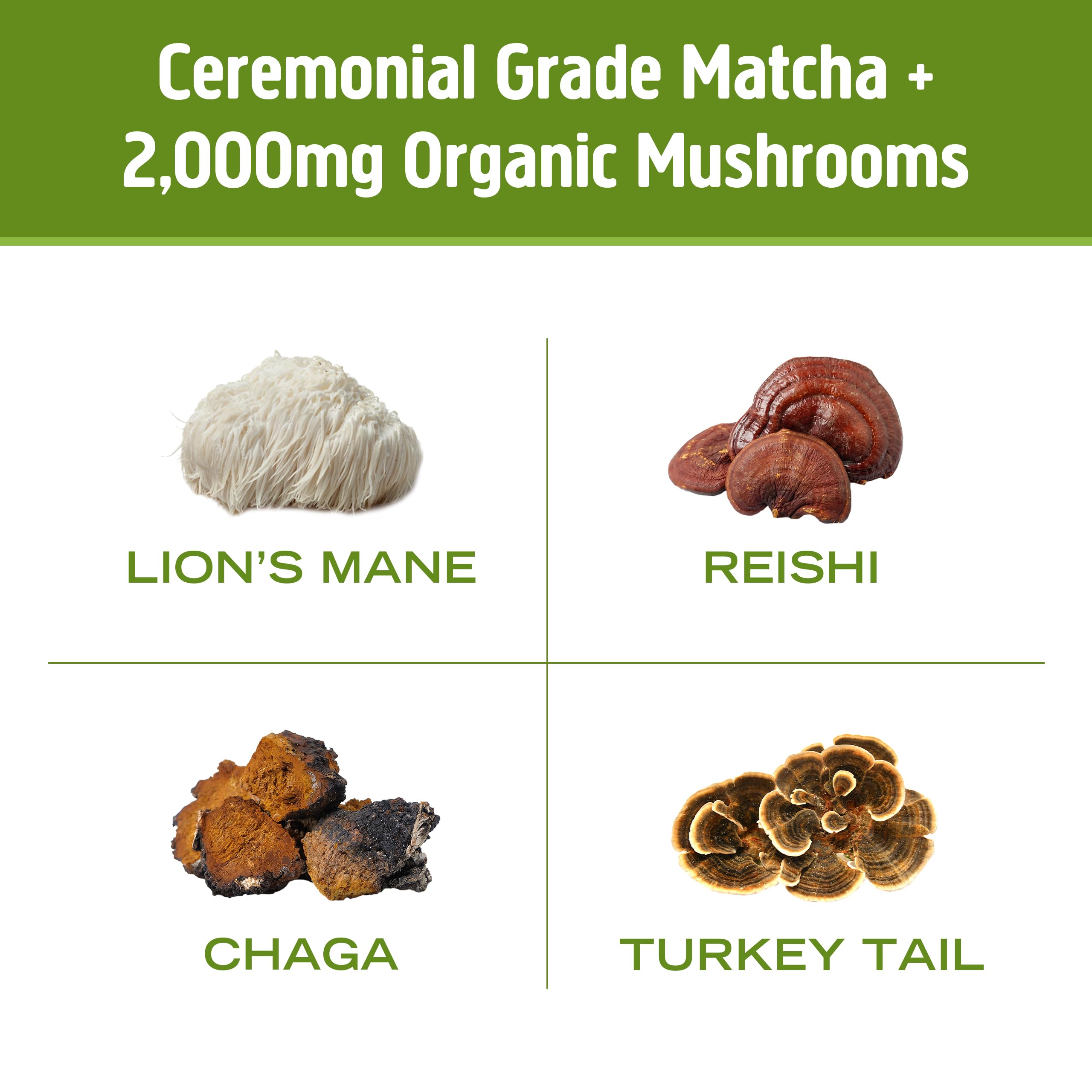 OM MUSHROOM SUPERFOOD latte in mug ready to enjoy a convenient daily ritual