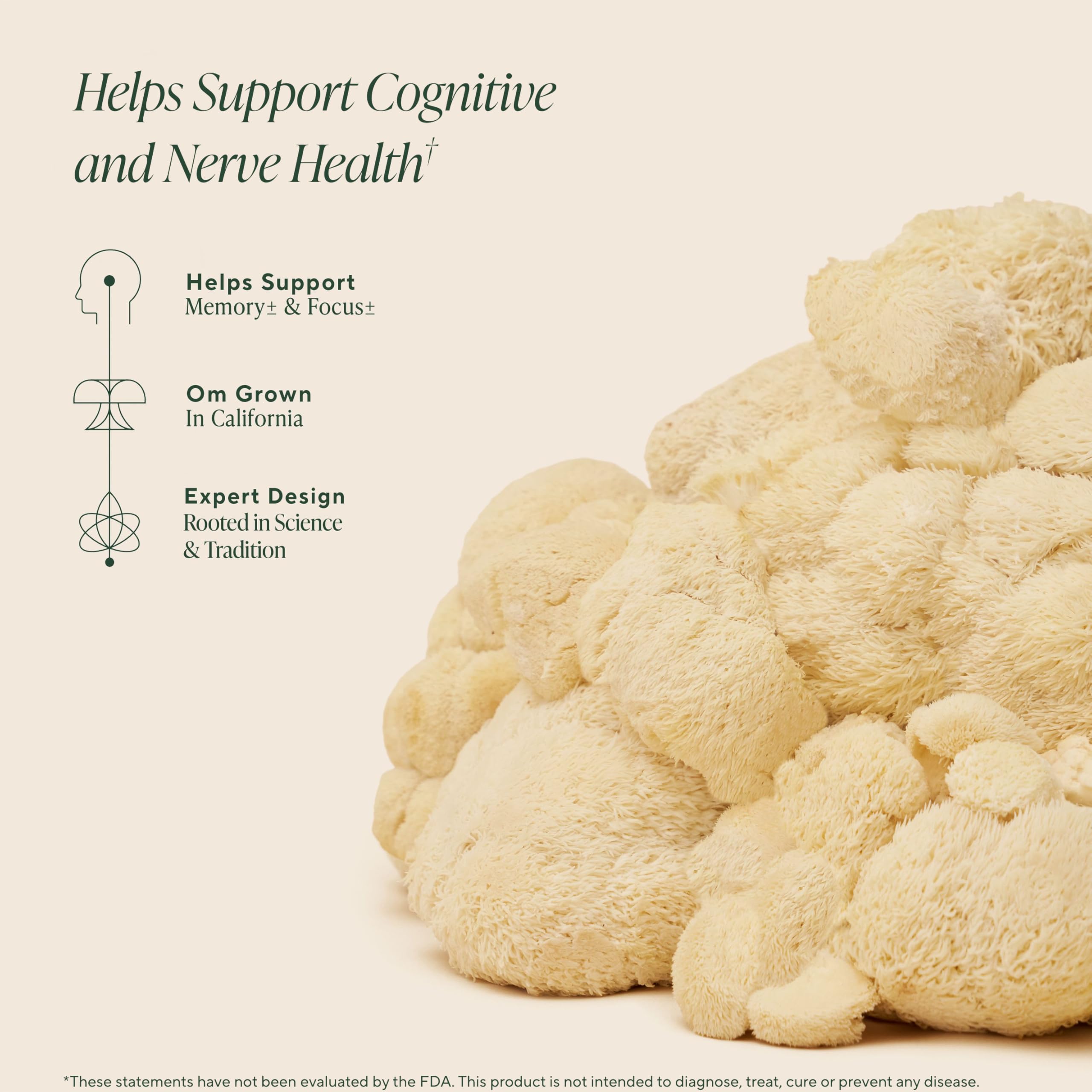 Memory and focus support from OM Lion’s Mane Gummies in strawberry form