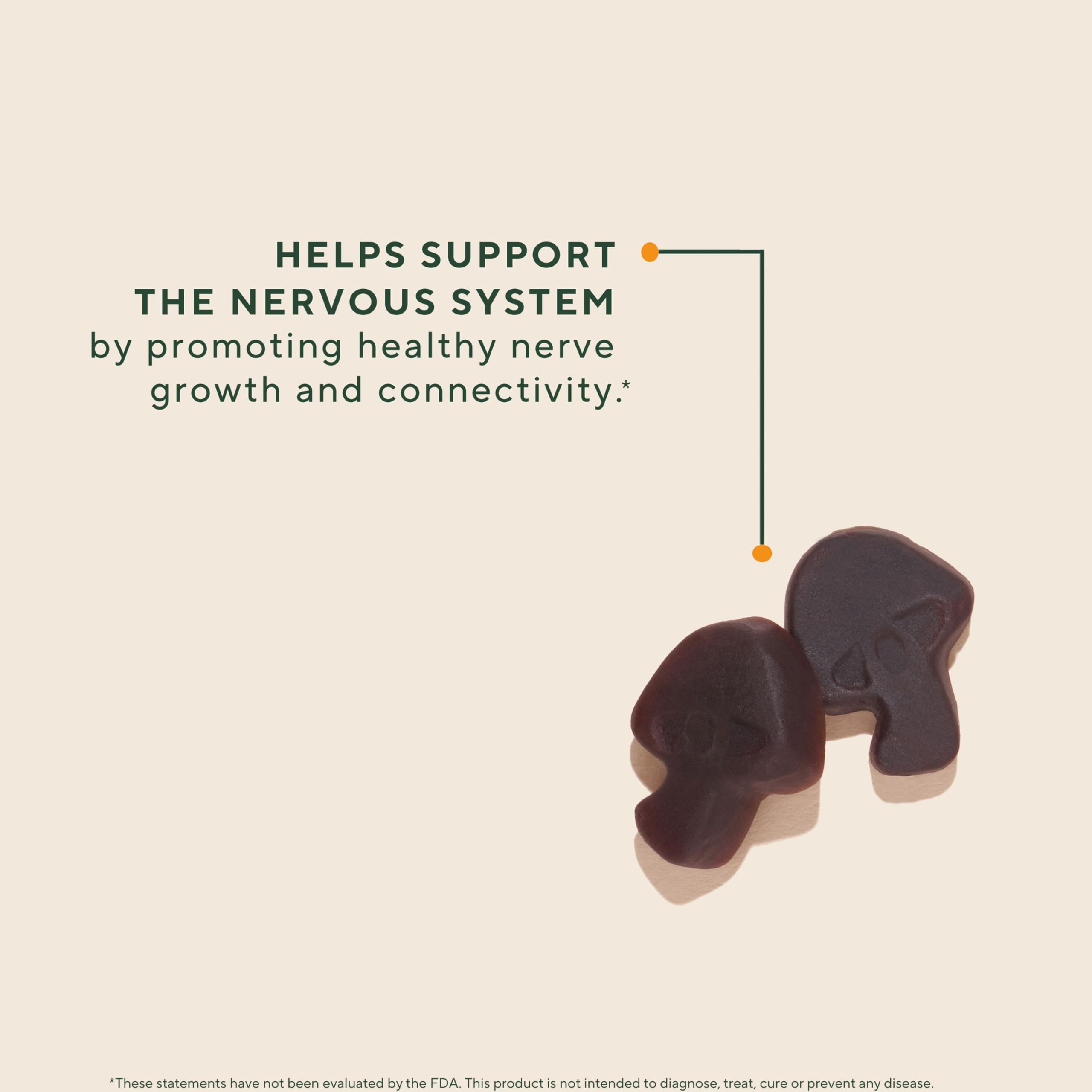 USA-grown lion’s mane mushrooms used in OM Mushroom gummies