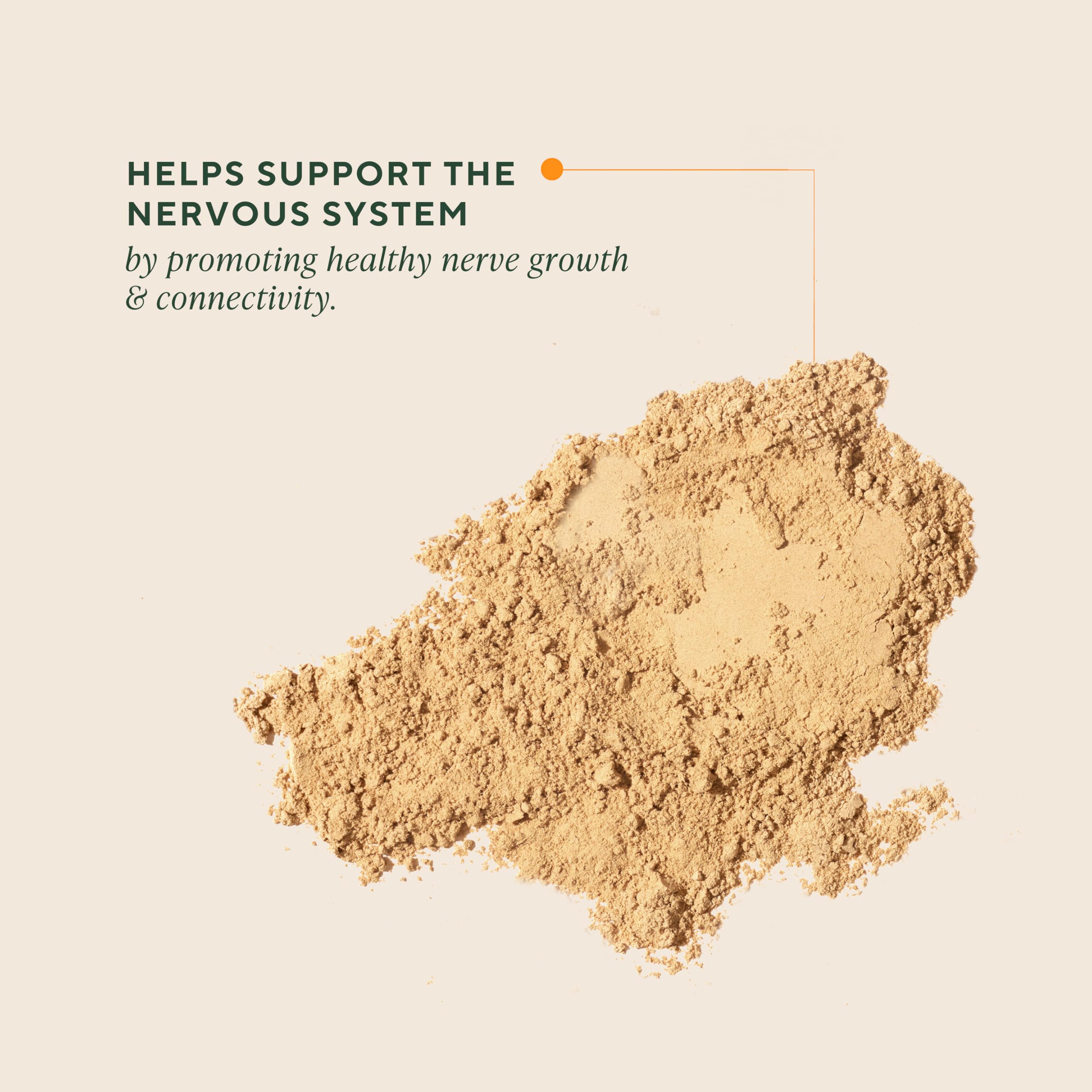 OM MUSHROOM SUPERFOOD Lions Mane powder scoop demonstrates convenient daily serving for cognitive performance.
