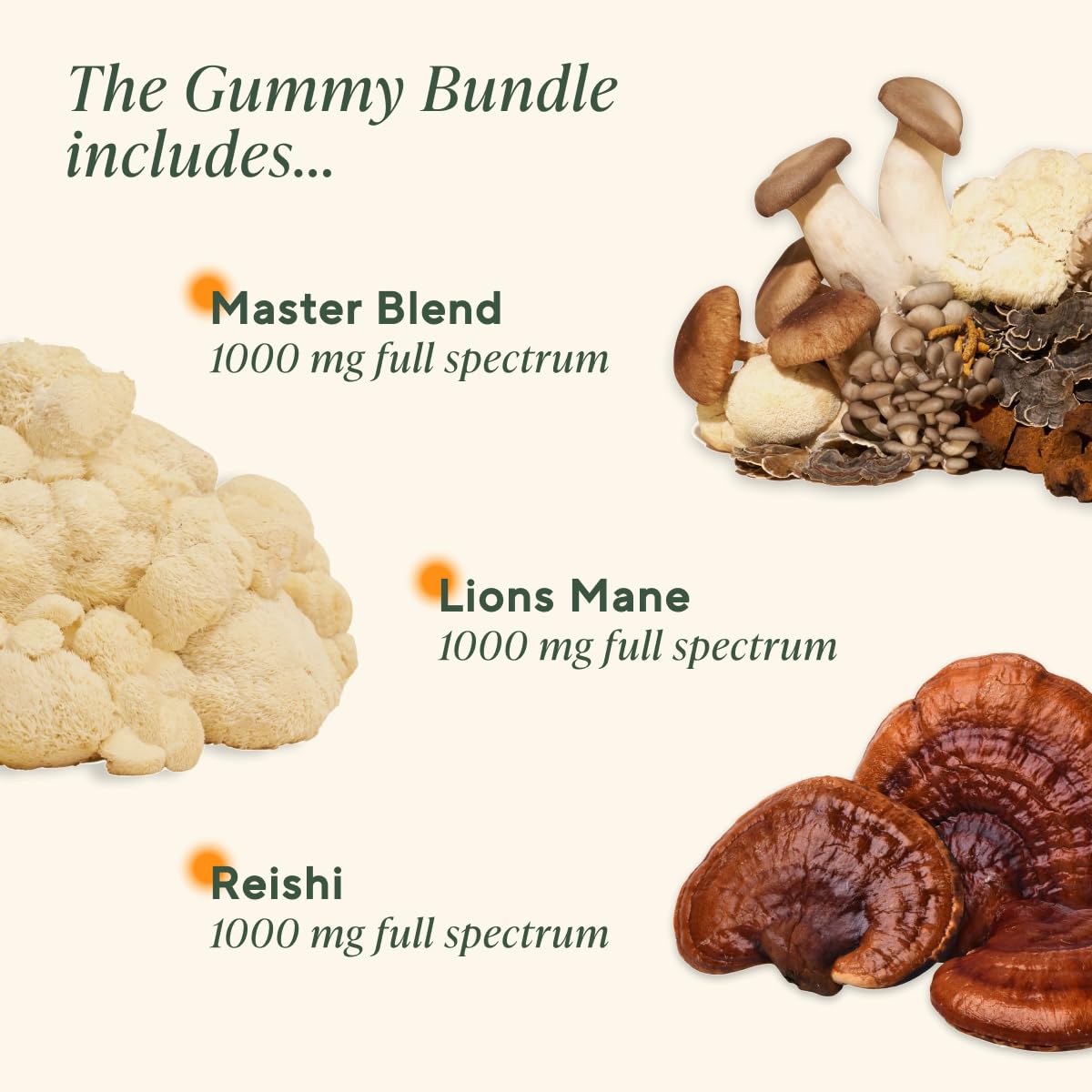 OM Mushroom Superfood Master Blend gummies offering daily vitality and immune-supportive nutrients.