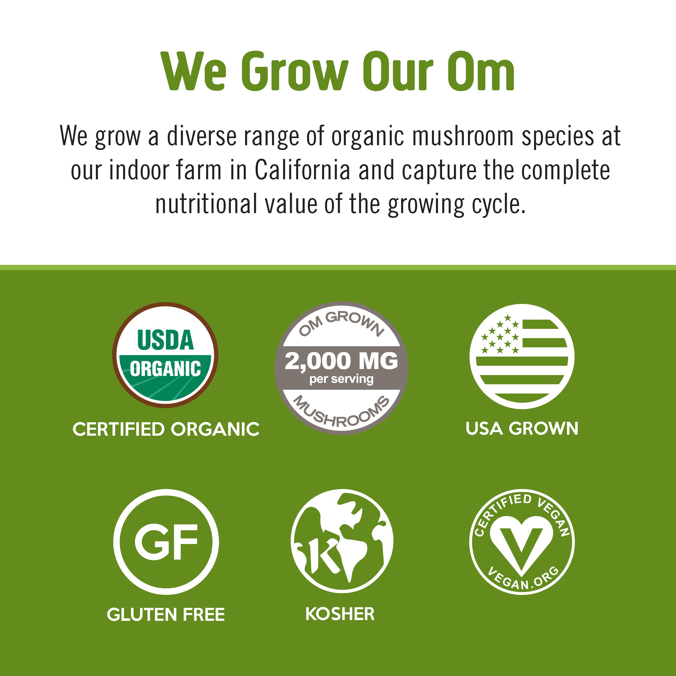 OM MUSHROOM SUPERFOOD Mushroom powder closeup emphasizes earthy aroma and immune-supportive wellness potential