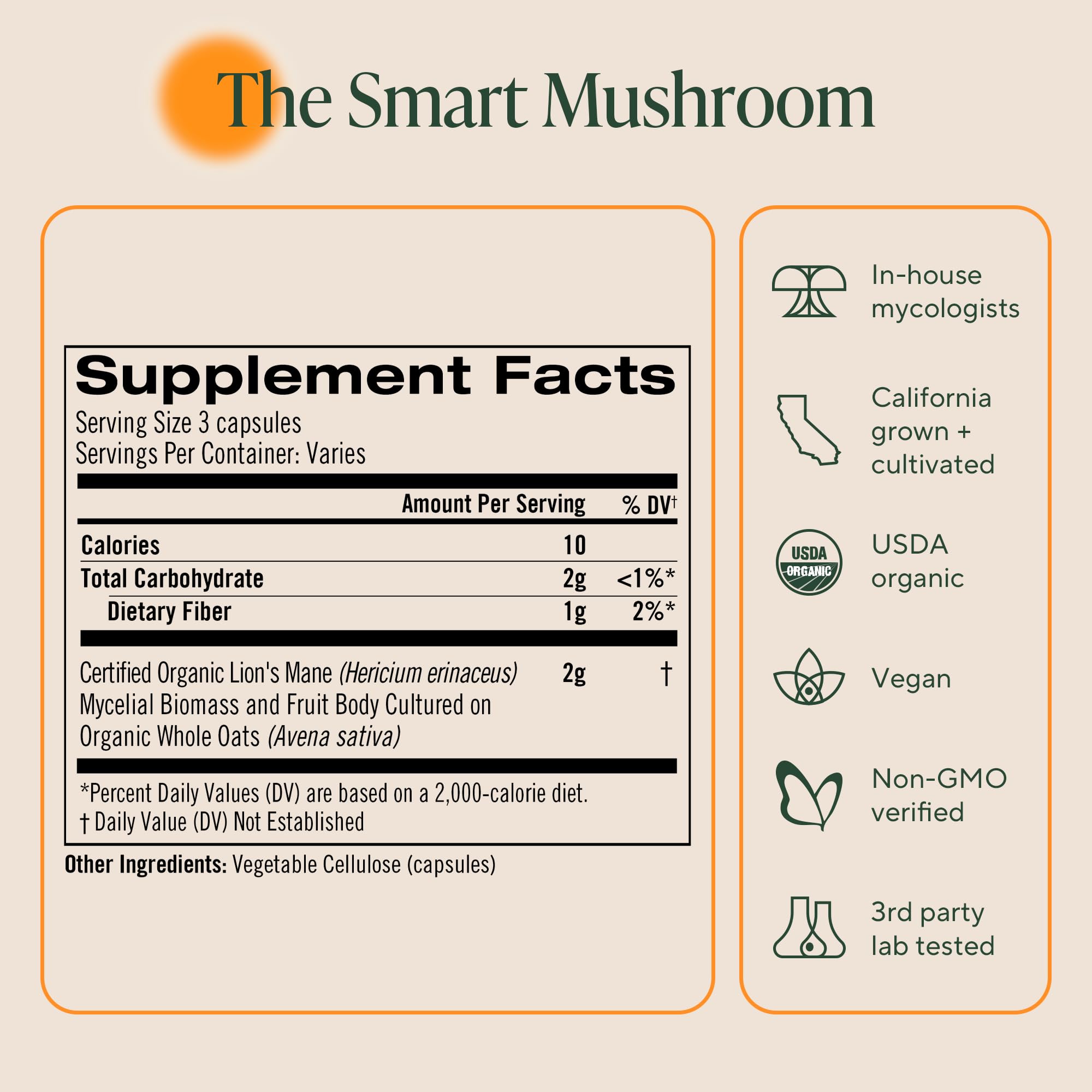 OM Mushroom Superfood organic ingredients visual for clean, plant-based nootropics.