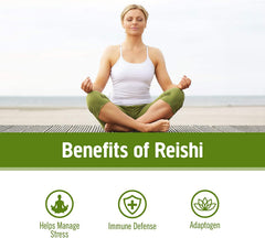 OM Mushroom Superfood Reishi capsules close-up highlight organic ingredients