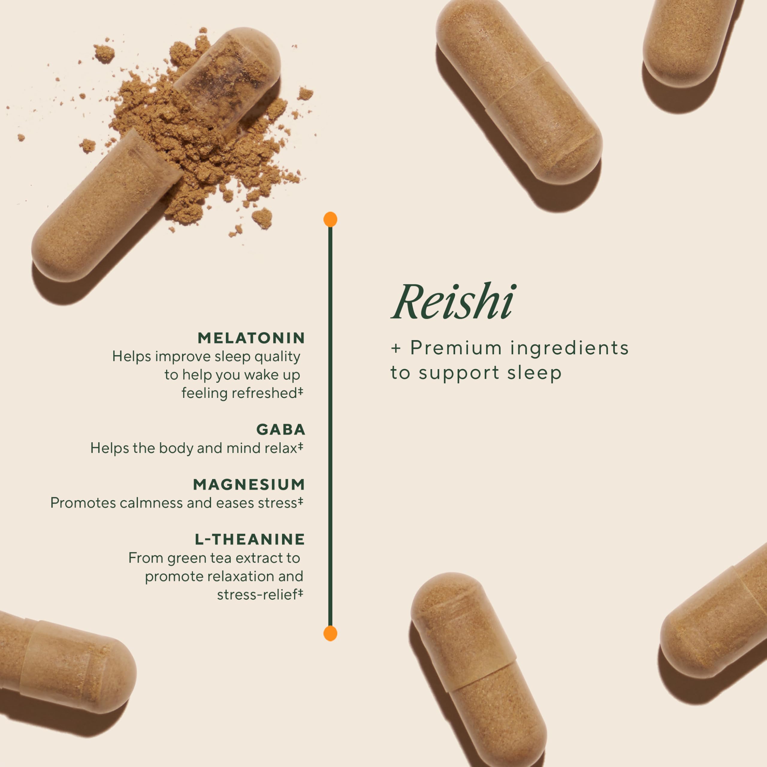 OM Mushroom Superfood Sleep Capsules ingredients icon highlights GABA and L-Theanine.
