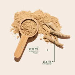 OM Mushrooms Master Blend with KSM-66 Ashwagandha for stress balance