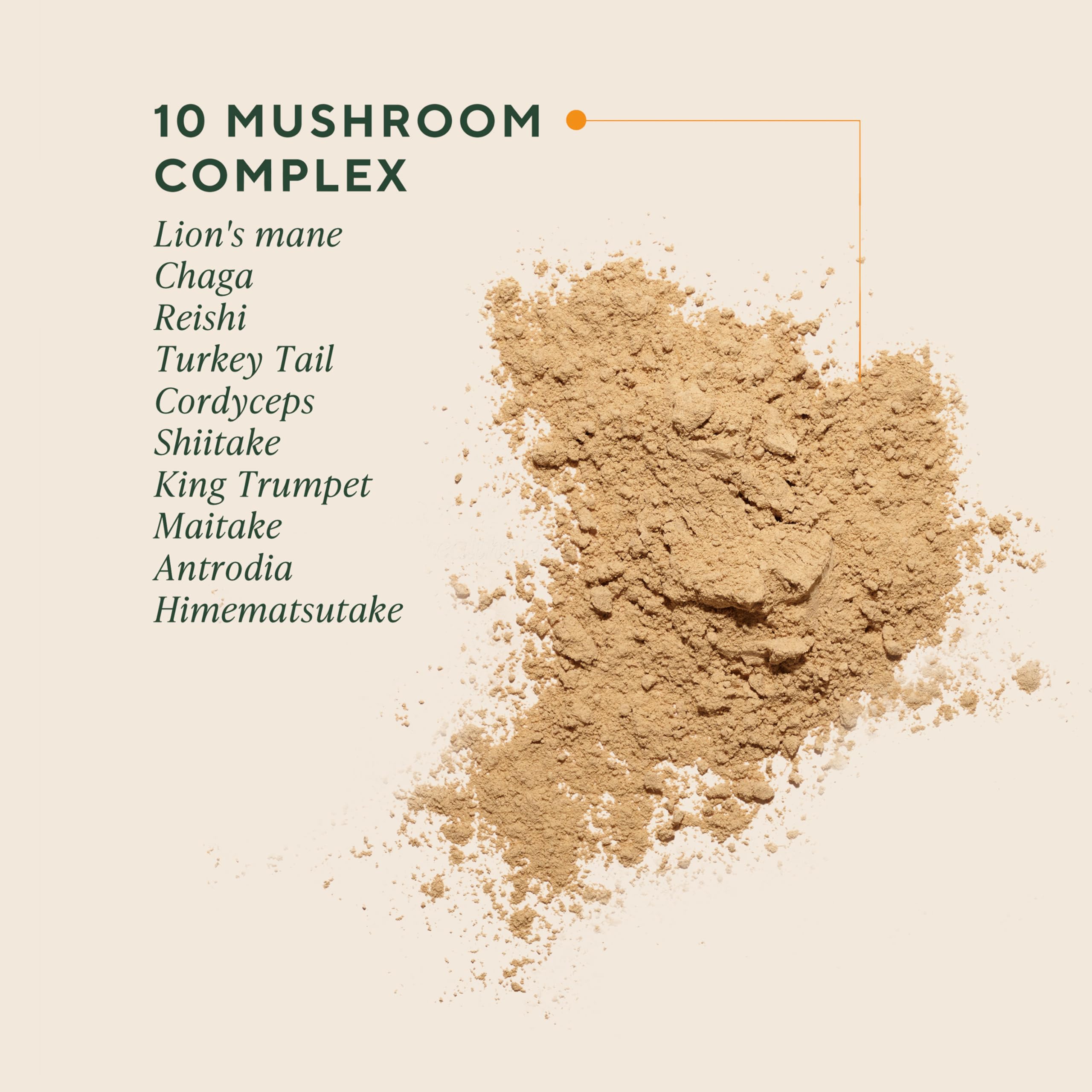 OM Mushrooms Master Blend serving scoop with powder ready to blend into beverages