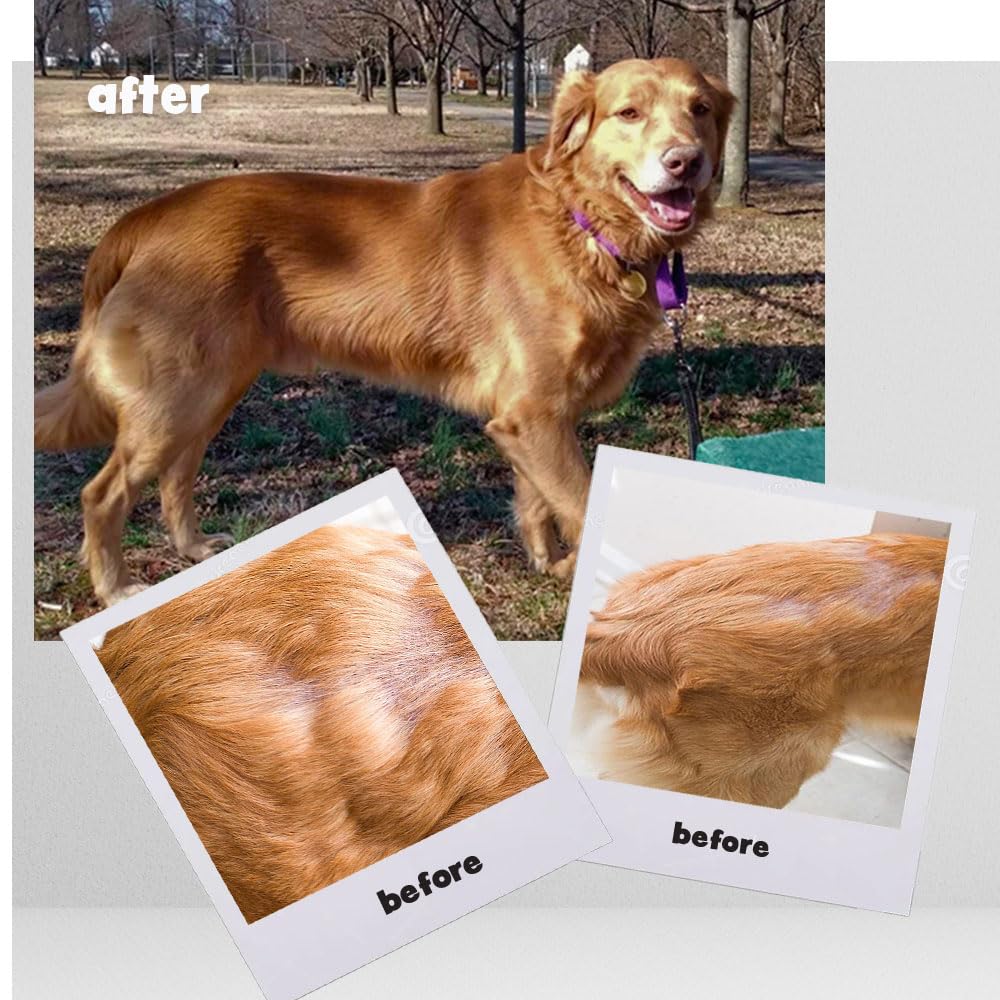 Omega Caps dog-mobility-ease supports flexible movement for active or senior dogs.