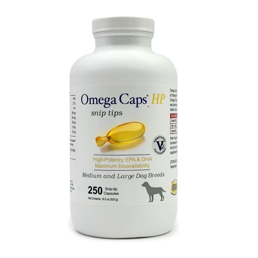 Omega Caps HP bottle front view for dogs, supporting skin and coat health.