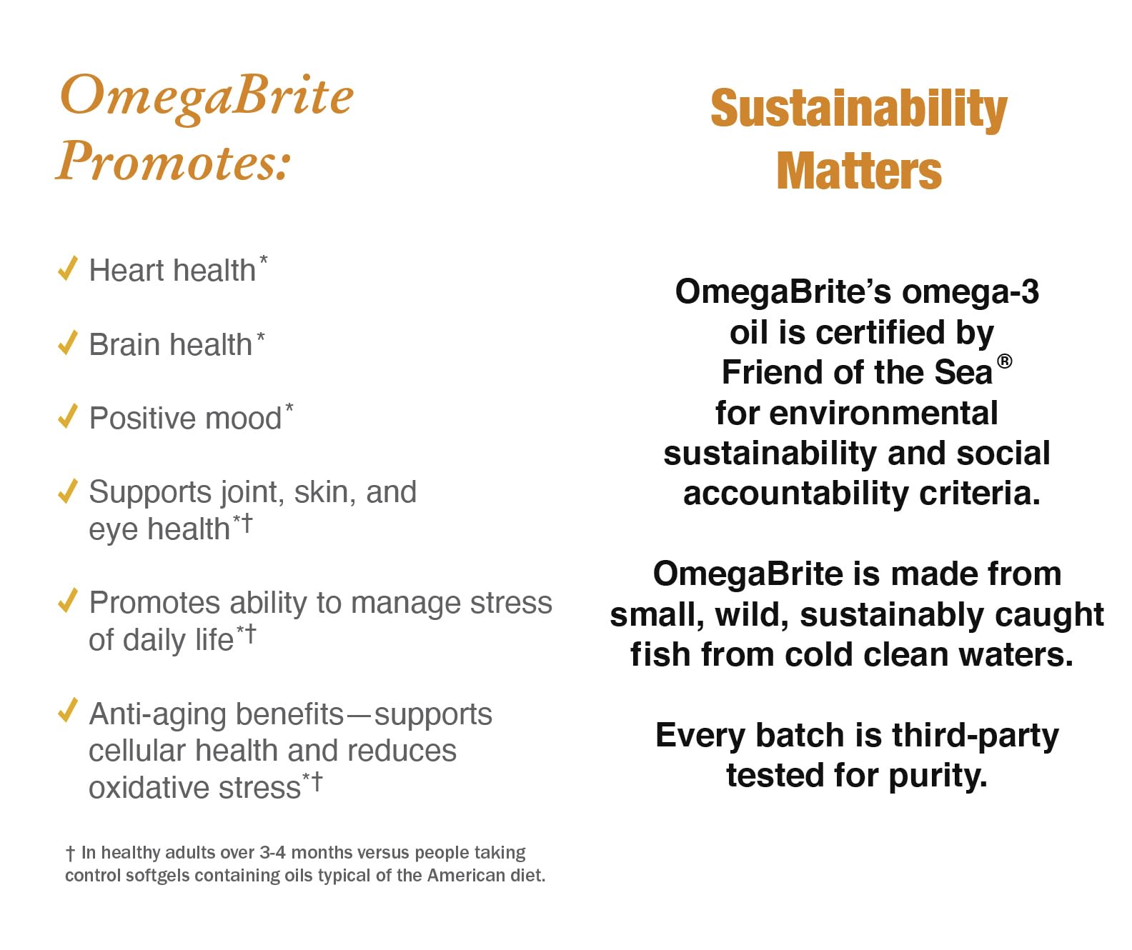 Close-up of OmegaBrite 7010MD capsules for easy daily supplementation.
