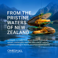 OmegaXL two-pack bundle highlights value for ongoing wellness.