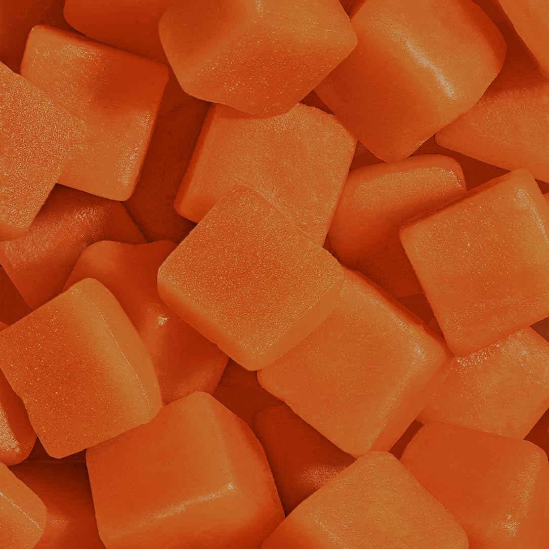 OMNI Creatine Gummies supporting brain energy and cognitive clarity.