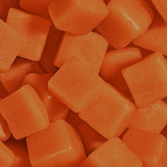 OMNI Creatine Gummies supporting brain energy and cognitive clarity.