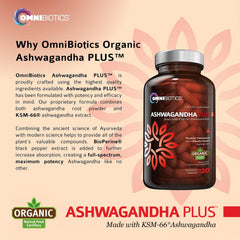 OmniBiotics lifestyle shot depicts peaceful study or sleep prep