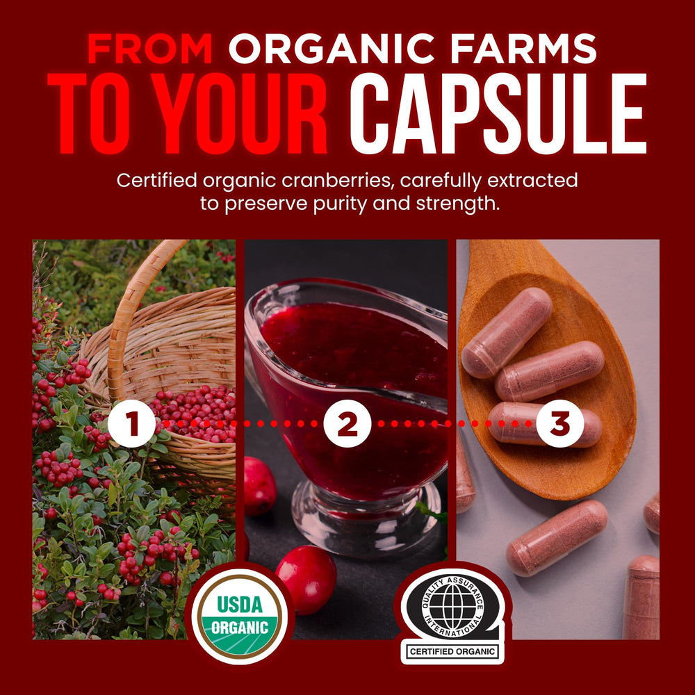 OmniBiotics cranberry-fruit-extract-visual with berries emphasizes antioxidant-inspired benefits.