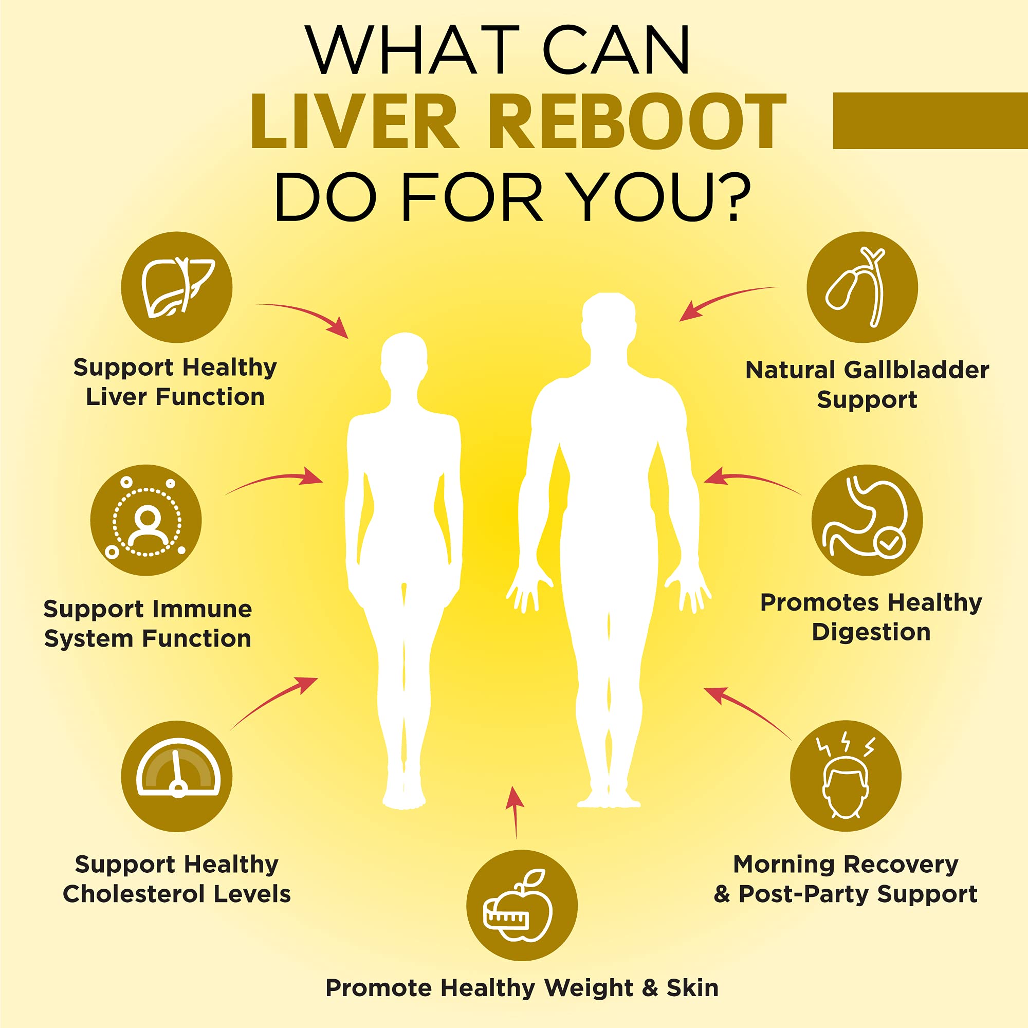 OmniBiotics Liver Cleanse with dandelion root for healthy bile support.