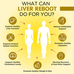 OmniBiotics Liver Cleanse with dandelion root for healthy bile support.