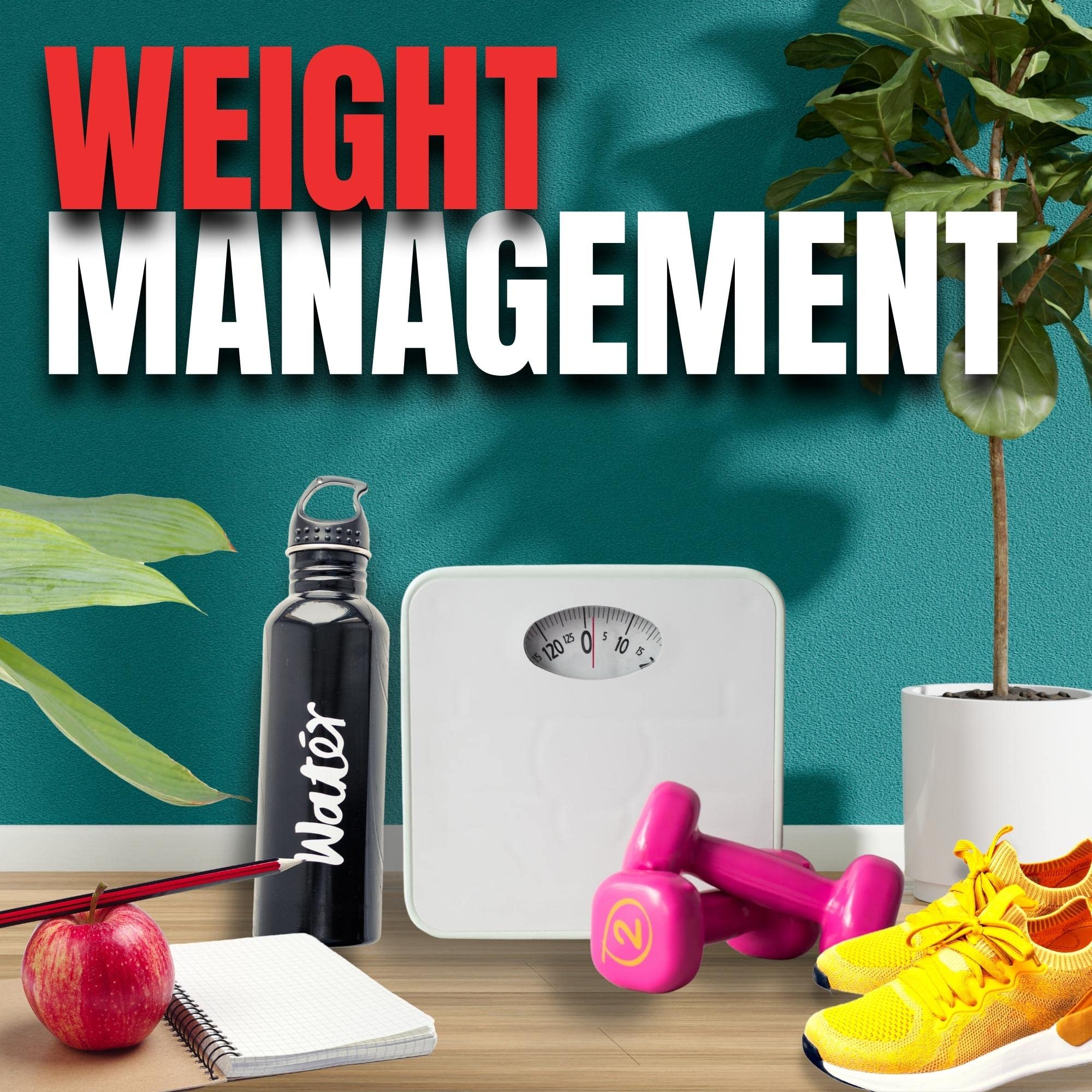 US-made Thermo Java bottle signals quality manufacturing standards.