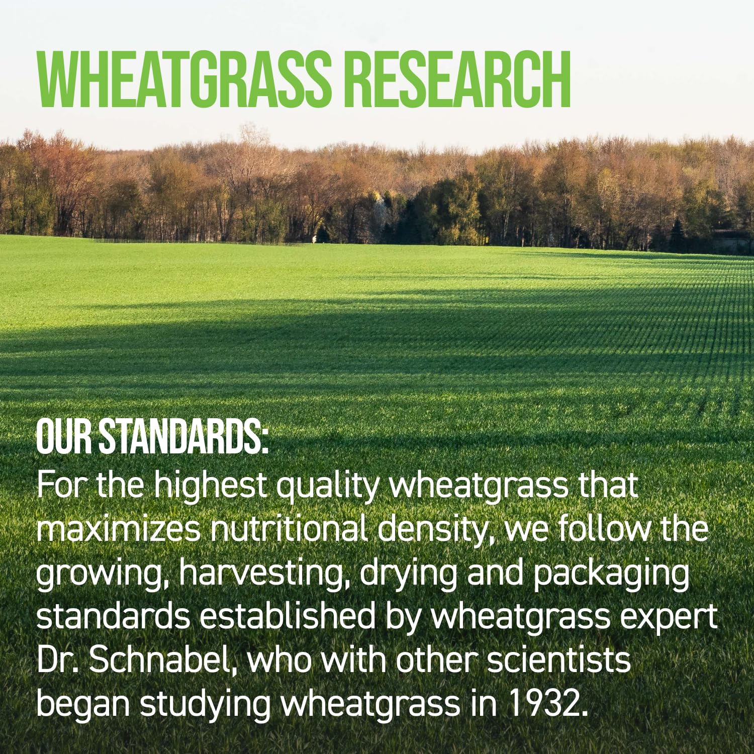 On Target Living Wheatgrass Tablets serving with water, simple daily greens ritual.