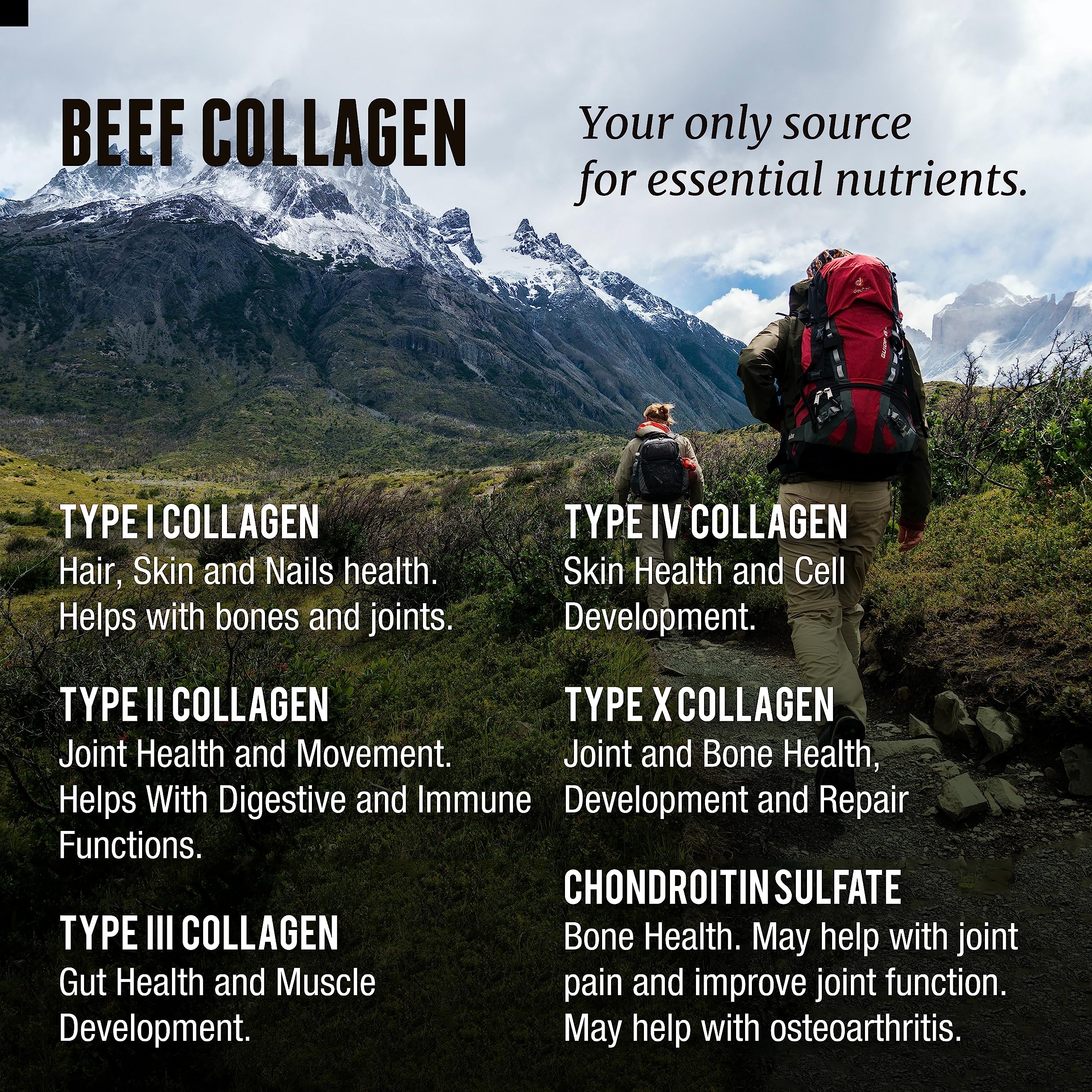 One Earth Health pasture-raised cattle image emphasizes natural origin