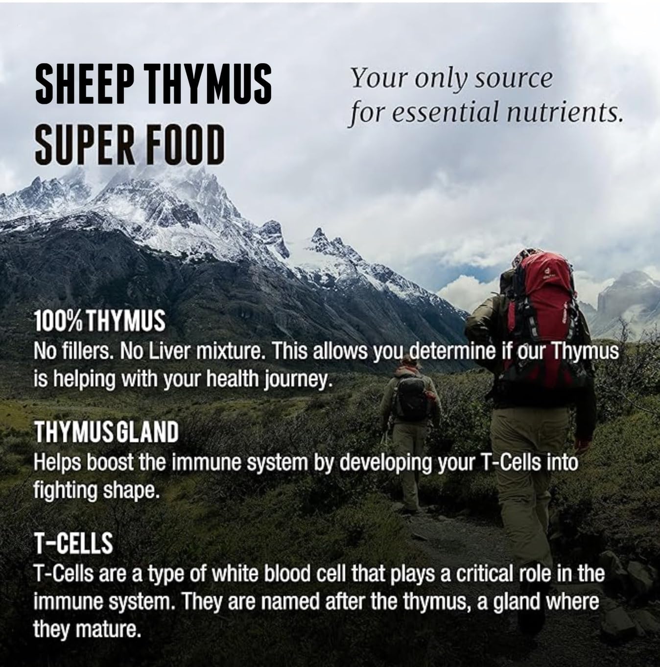 One Earth Health Thymus gland anatomy image highlighting thymus focus for immune-related research.