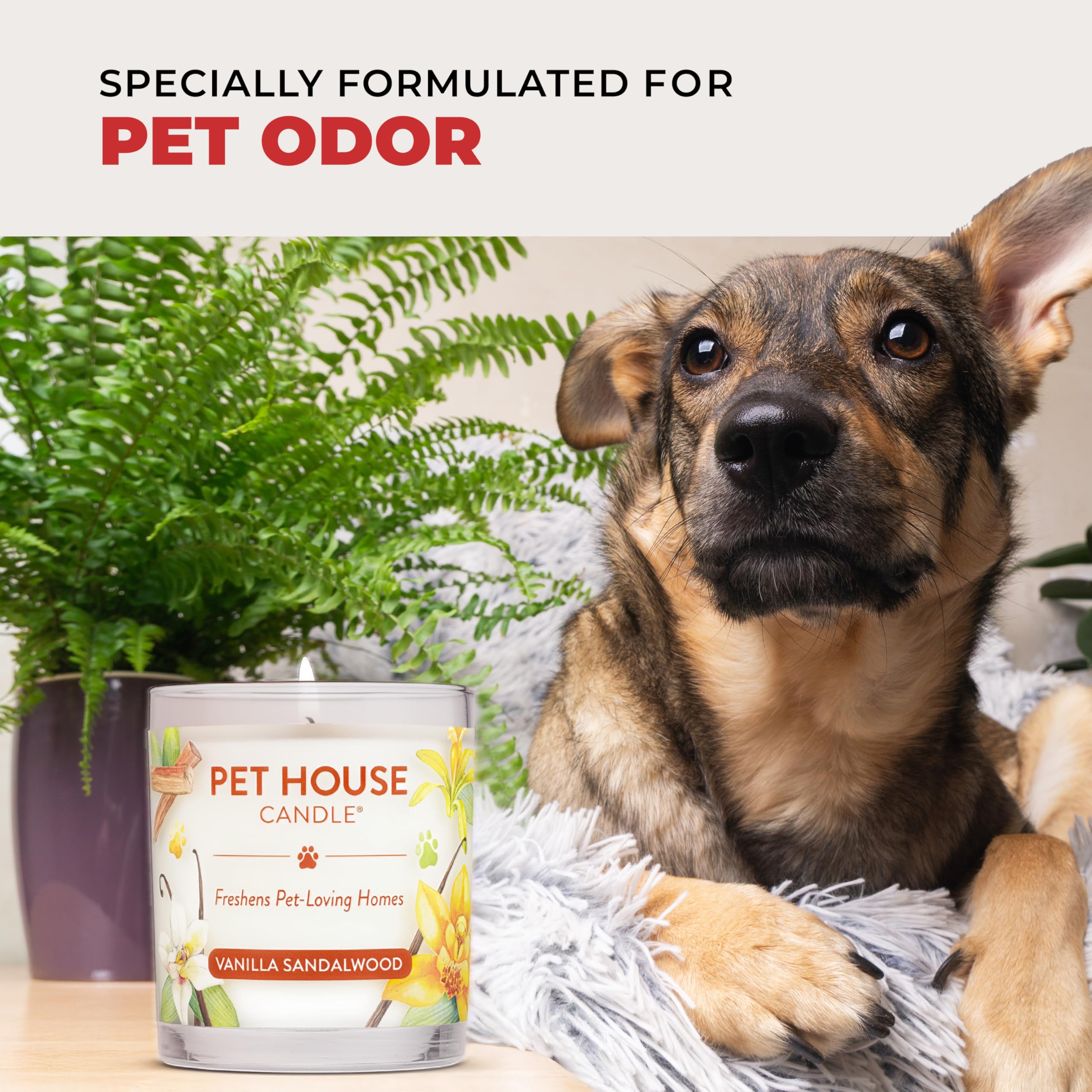 One Fur All clean-burning candle with natural wick for worry-free use.
