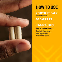 ONNIT Alpha Brain label close-up highlighting L-Theanine and Alpha GPC