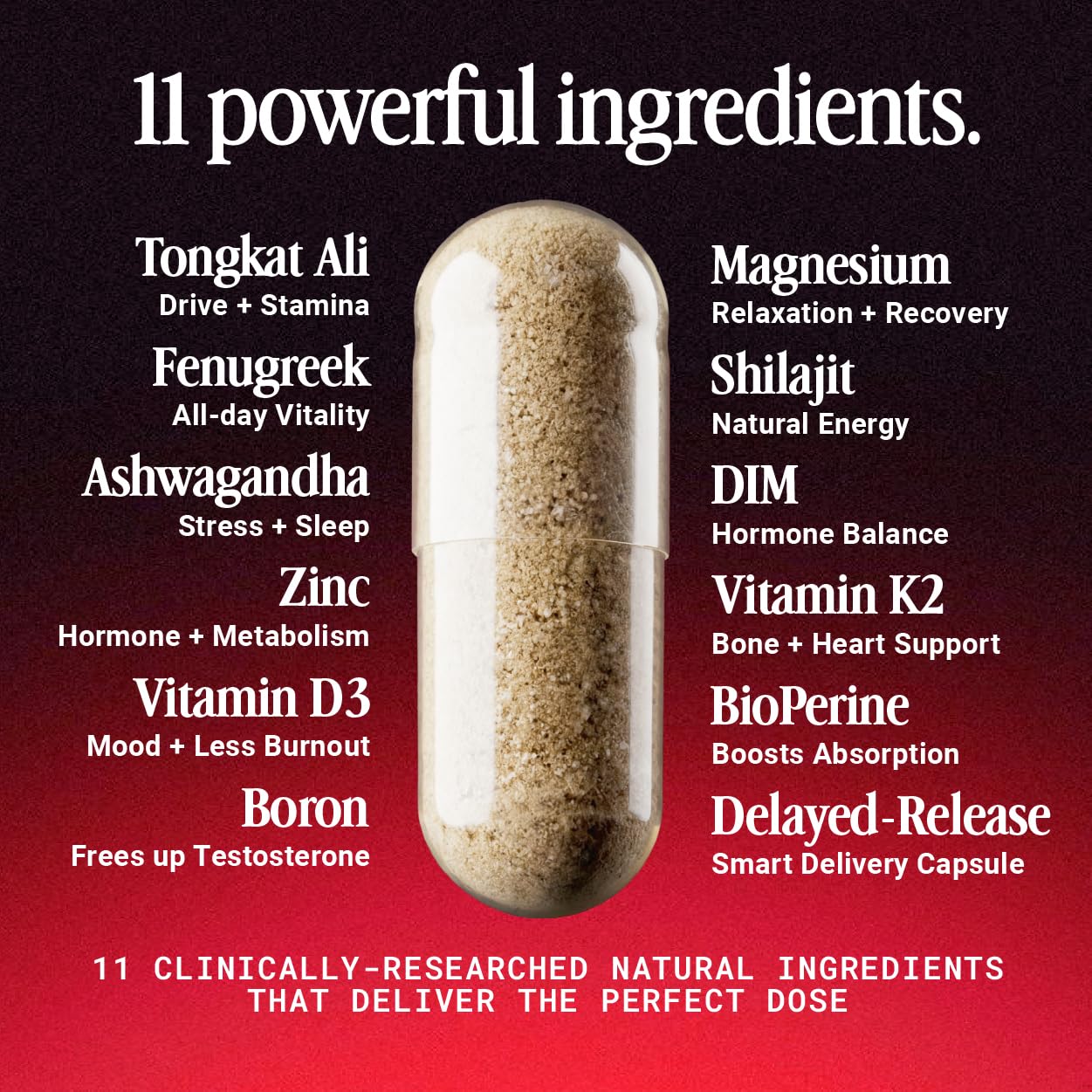 OPEN Essentials KSM-66 Ashwagandha capsules for focus and stress resilience.