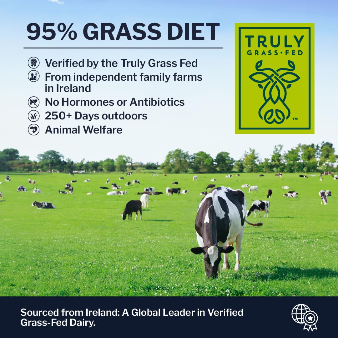 Irish dairy pasture cows representing grass-fed origins