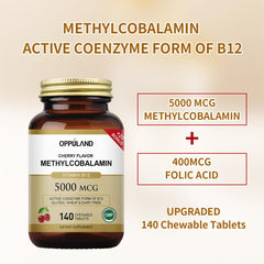 Oppuland Methyl B-12 vegan ingredients label emphasizes plant-based wellness.