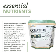 Optimal Health Systems Creatine label close-up showing non-GMO, dairy-free formula.