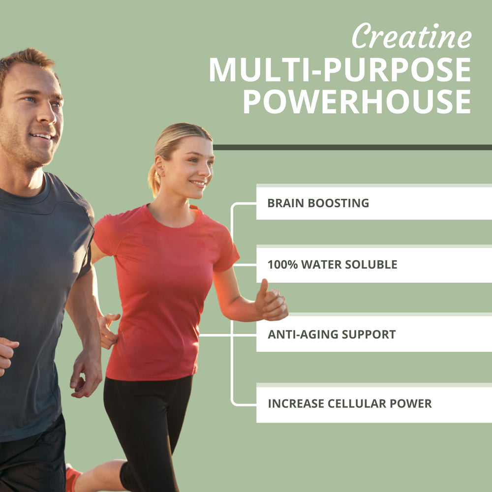 Optimal Health Systems Creatine scoop measuring precise daily servings.