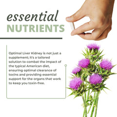 Optimal Health Systems non-GMO vegetarian gluten-free packaging for clean label assurance