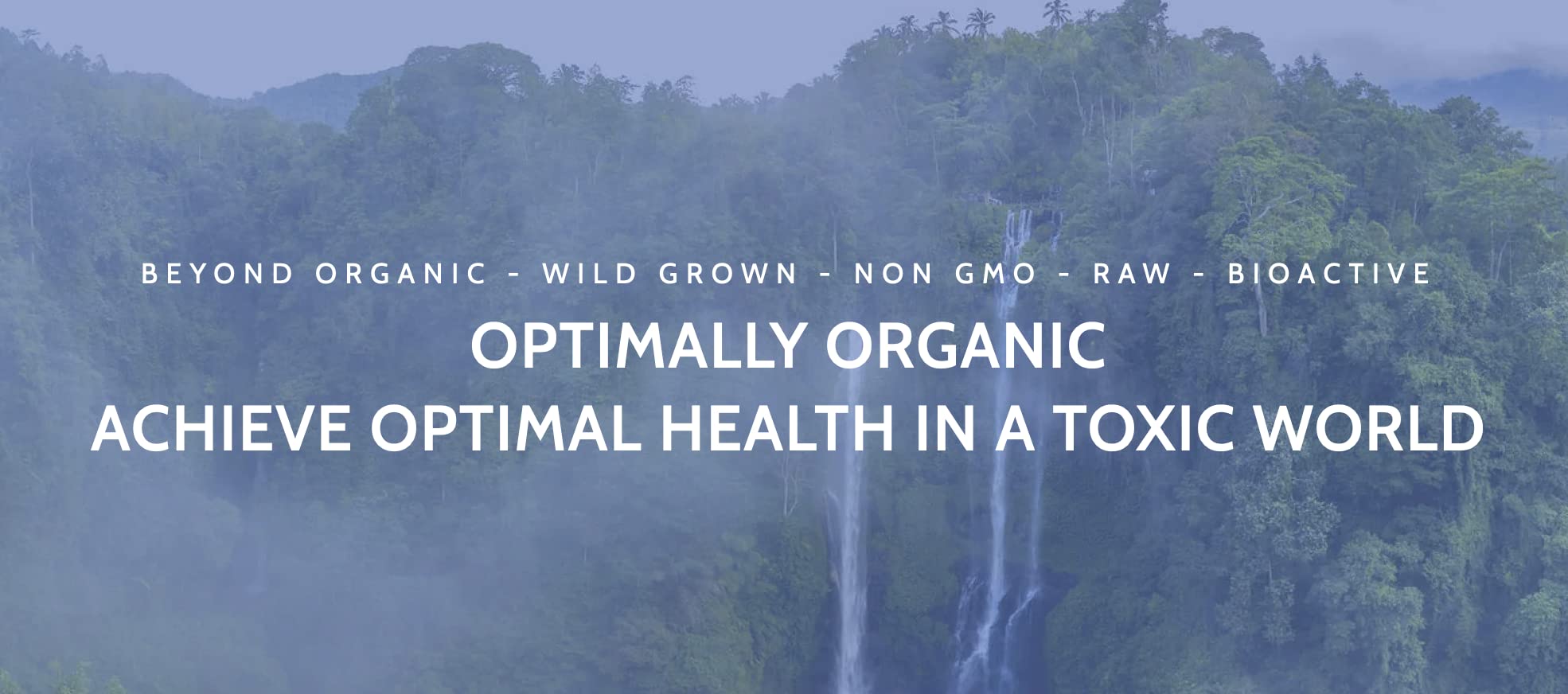 Front label of Optimally Organic Red Pine Needle Oil showing 1290 drops per bottle