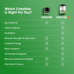Optimum Nutrition Creatine Monohydrate Plus orange passionfruit glass with drink