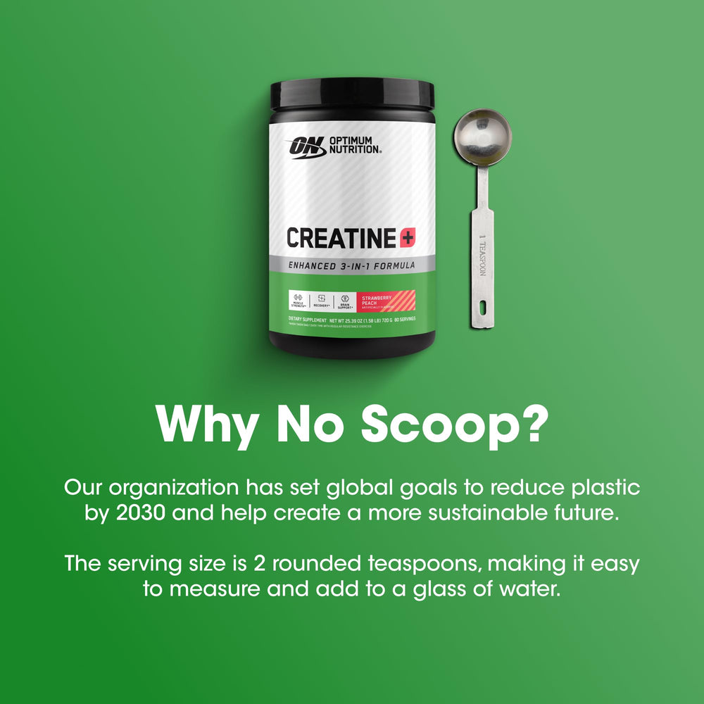 Optimum Nutrition Creatine Monohydrate Plus storage tub on kitchen counter.