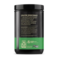 Optimum Nutrition creatine monohydrate powder ready for daily use