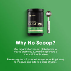 Optimum Nutrition creatine powder blends with beverages after workouts