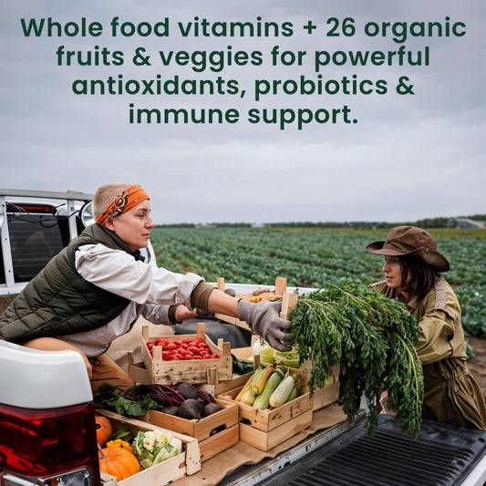 OPTIVIDA digestive blend shows probiotics and enzymes supporting nutrient absorption
