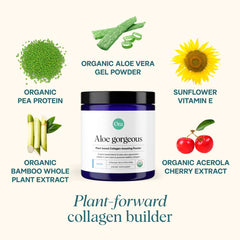 Ora Organic Aloe Gorgeous scoop with powder for convenient daily vegan boost.